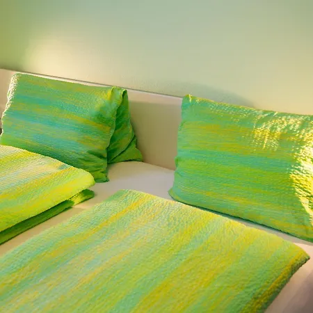 Garni Dei Fiori 3* أسكونا